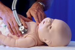 ������� ������������ �������� BabySIM